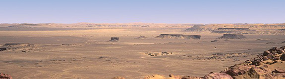Sahara Desert scene